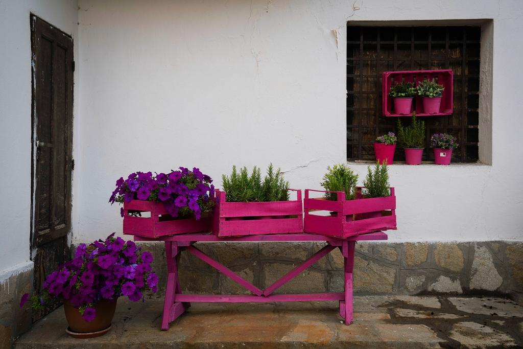 Agriturismo Cascina Del Vai Cairo Montenotte Εξωτερικό φωτογραφία