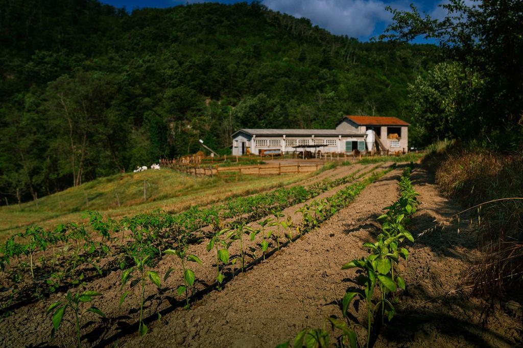 Agriturismo Cascina Del Vai Cairo Montenotte Εξωτερικό φωτογραφία